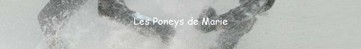 Les Poneys de Marie
